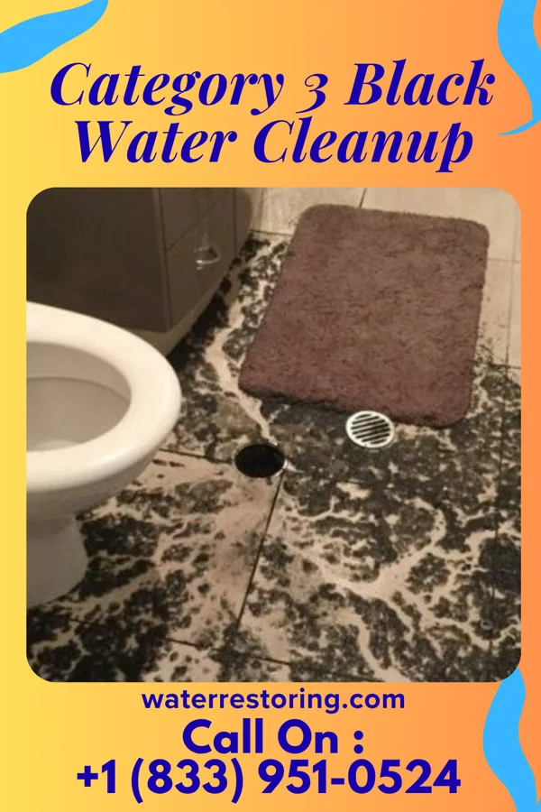Category 3 Black Water Cleanup in Hiram, OH