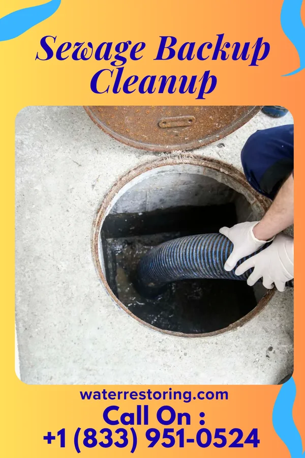 Sewage Backup Cleanup in Hiram, OH