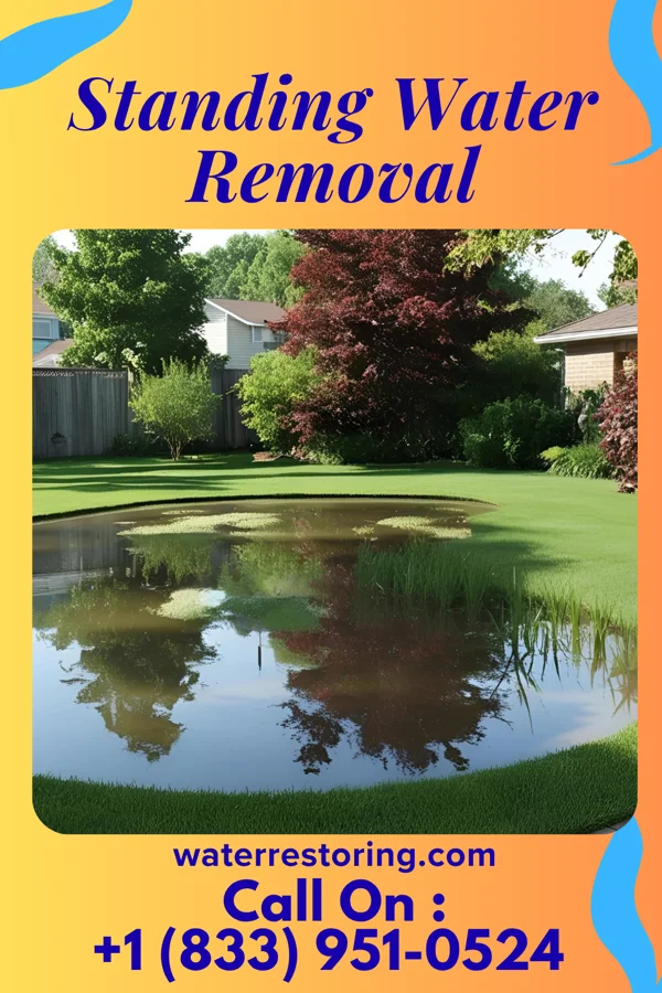 Standing Water Removal in Hiram, OH